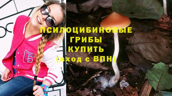 каннабис Богданович