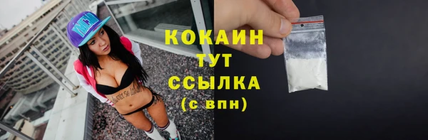прущие грибы Бородино