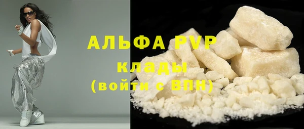 прущие грибы Бородино