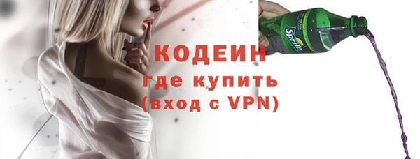 прущие грибы Бородино