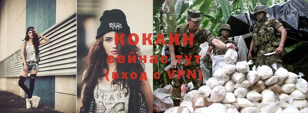 каннабис Богданович