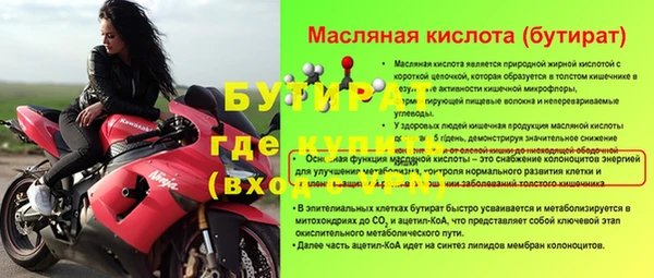 прущие грибы Бородино