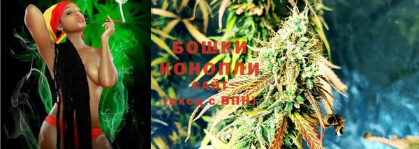 прущие грибы Бородино