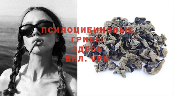 2c-b Богородицк