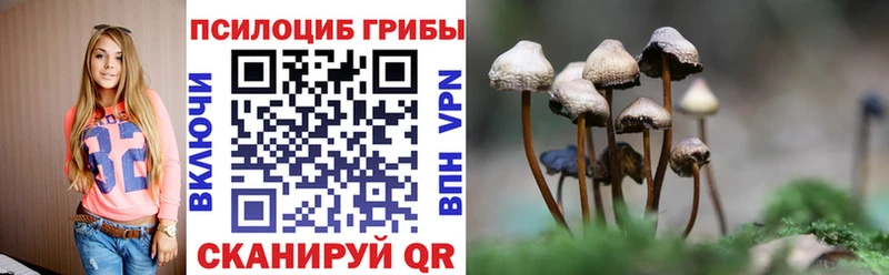 blacksprut сайт  продажа наркотиков  Пересвет  Псилоцибиновые грибы мухоморы 
